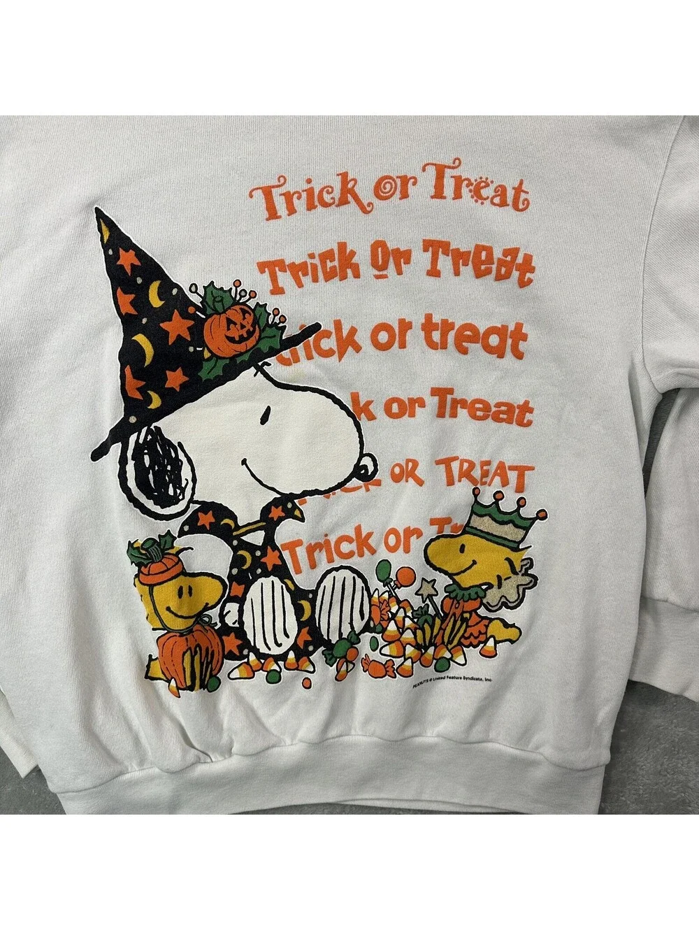Vintage Peanuts Halloween Sweatshirt Large Unisex Snoopy 80s 90s Adult Pumpkin